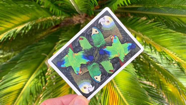 Bicycle Parrot Playing Cards - Image 6