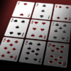 Bicycle VeniVidiVici Metallic Playing Cards by Collectable Playing Cards - Image 4
