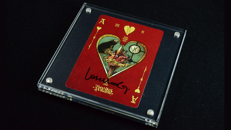 Carat XSC Single Deck Display - Image 3