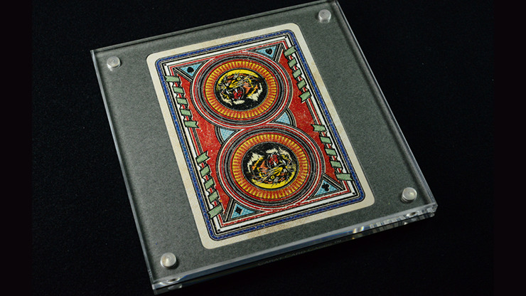 Carat XSC Single Deck Display - Image 5