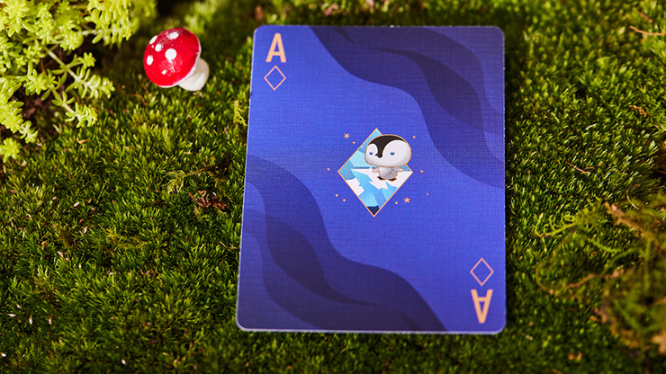 The Dream, Artic Edition Playing Cards by SOLOKID - Image 3