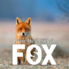 FOX by Esya G video (Download)