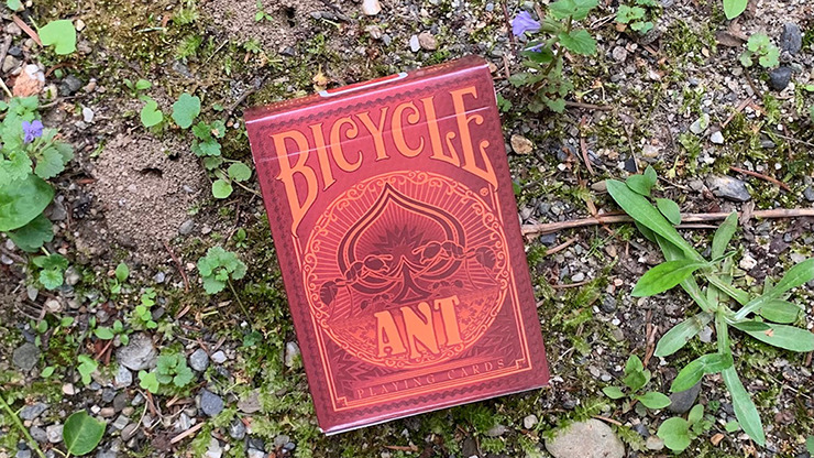 Gilded Bicycle Ant, Red Playing Cards - Image 2