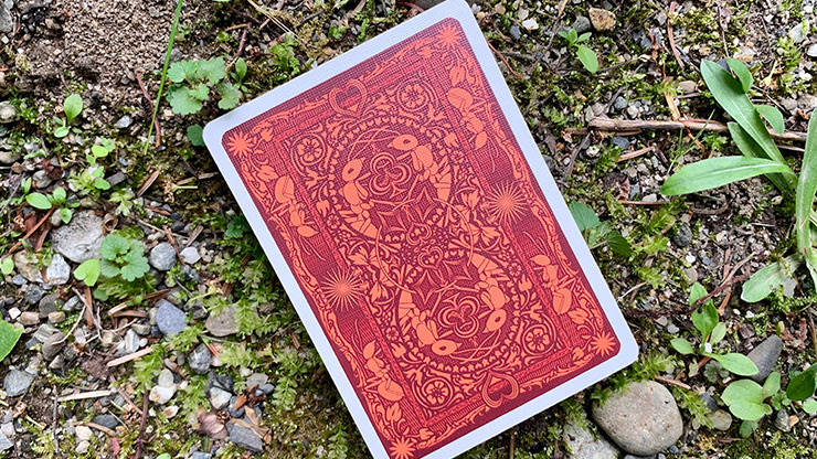 Gilded Bicycle Ant, Red Playing Cards - Image 6