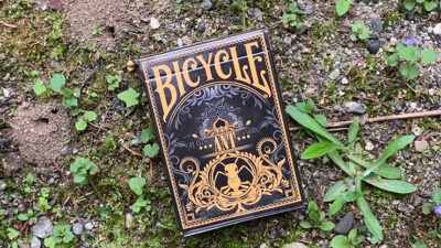 Gilded Bicycle Ant, Black Playing Cards - Image 2