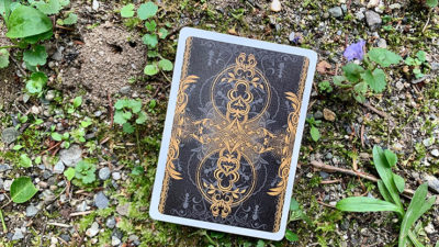 Gilded Bicycle Ant, Black Playing Cards - Image 6