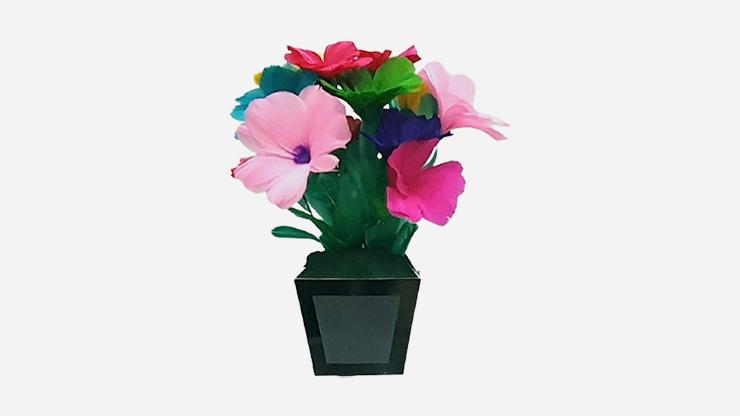 Flower Pot V2 to Blendo, HAPPY BIRTHDAY by JL Magic - Image 4