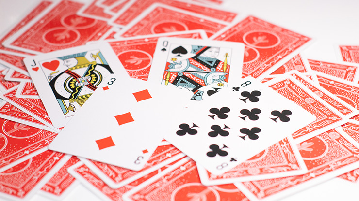 Cactus Standard Playing Cards - Image 4