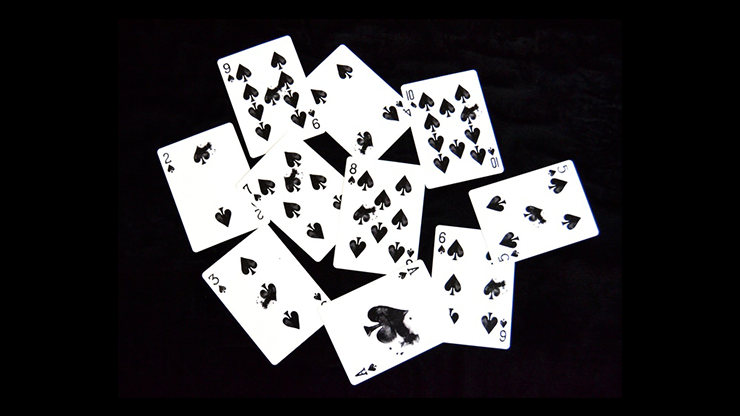 Shadows Playing Cards - Image 3