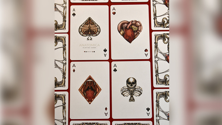 Anatomica Playing Cards - Image 3