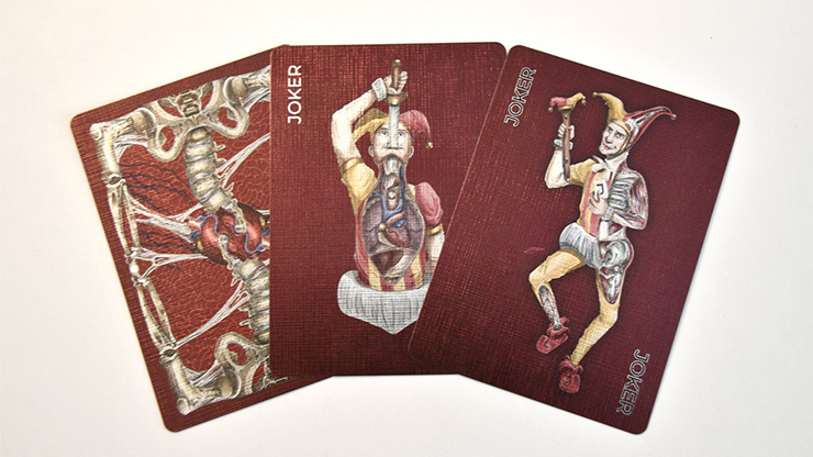 Alterna Playing Cards - Image 2