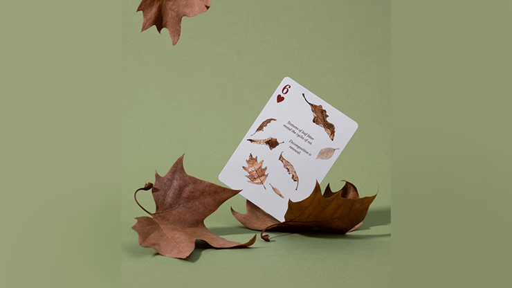 Eastern Forest Playing Cards by Art of Play - Image 3