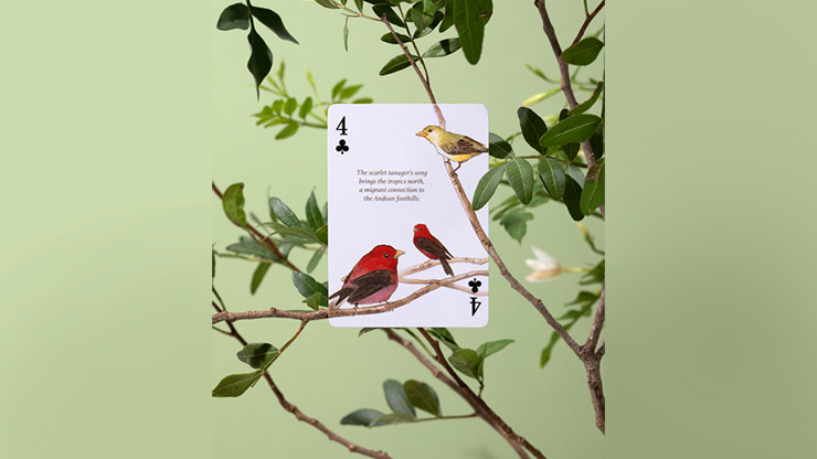 Eastern Forest Playing Cards by Art of Play - Image 4