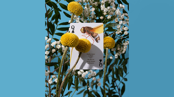 Eastern Forest Playing Cards by Art of Play - Image 5