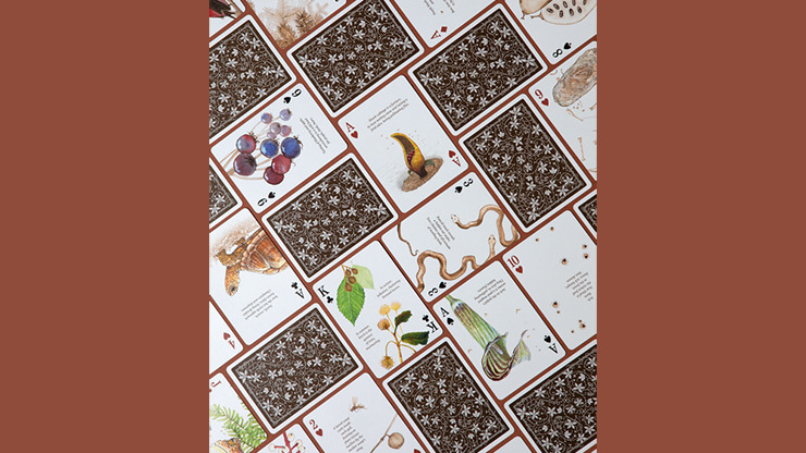 Eastern Forest Playing Cards by Art of Play - Image 6