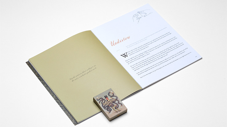 If an Octopus Could Palm V2 by Dan and Dave - Image 2