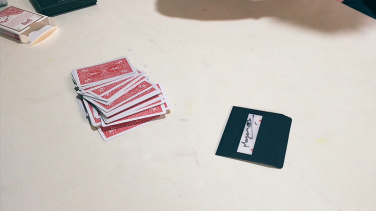 SWITCH, Gimmick and Online Instructions by Manoj Kaushal - Image 3