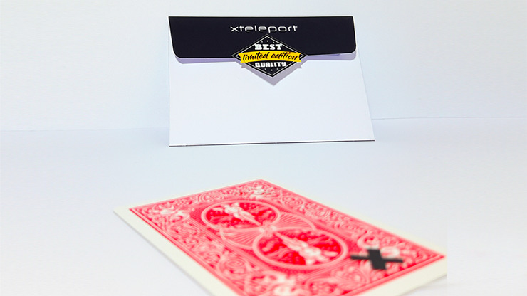 Xteleport, Gimmicks and Online Instructions by ilya Melyukhin - Image 5