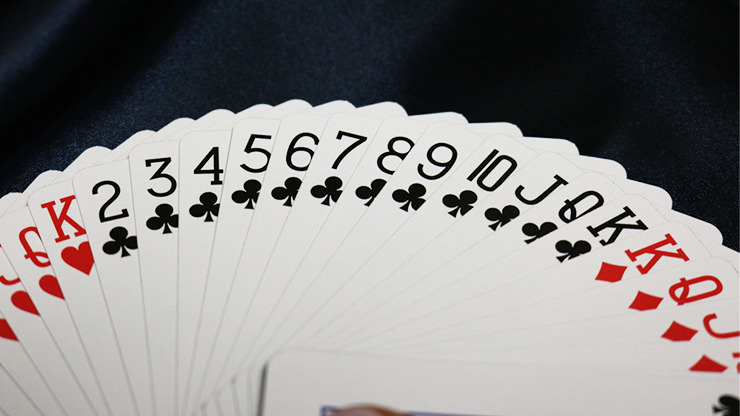 Bicycle Party Cup Playing Cards by US Card Magic Co. - Image 4