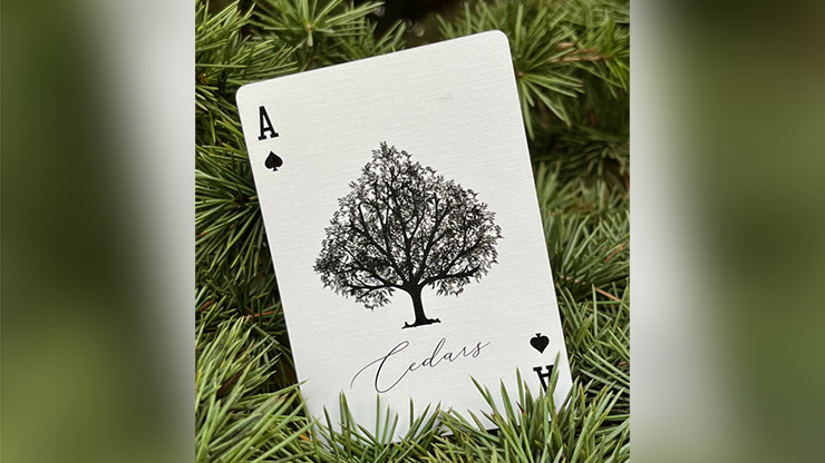 Cedar Playing Cards - Image 4