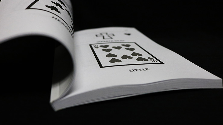 Remote Viewing Manual Book Test by James Ward - Image 2