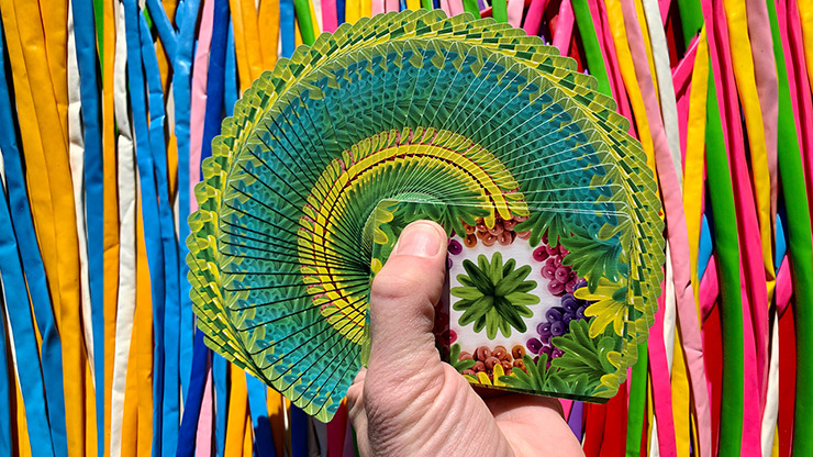 Stripper Bicycle Balloon Jungle Playing Cards - Image 2