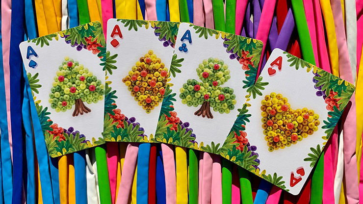 Stripper Bicycle Balloon Jungle Playing Cards - Image 5