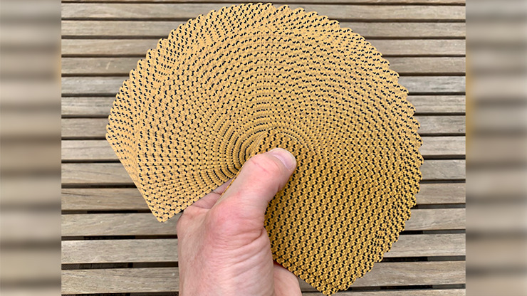 Limited Edition Cotta's Almanac #3 Transformation Playing Cards - Image 6