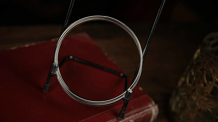 Lion Rings by Hector Lion & TCC - Image 4