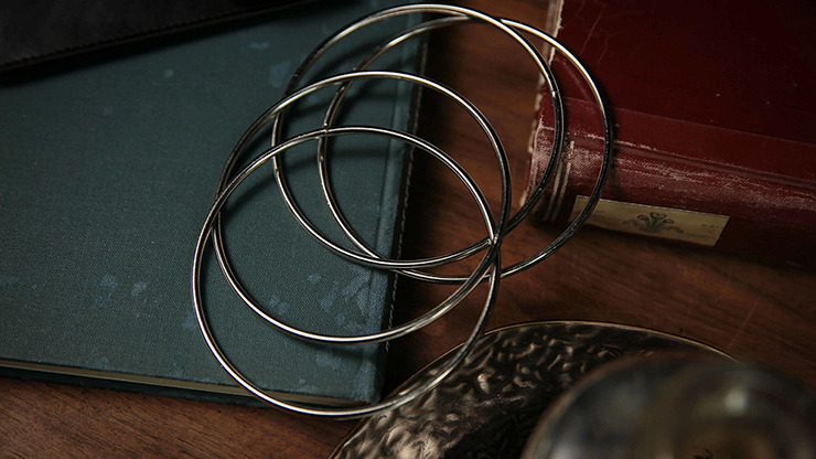 Lion Rings by Hector Lion & TCC - Image 5