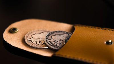 Pocket Portal, Half-Dollar by Samuel King - Image 4