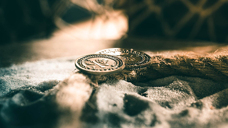 Pirate Coins, Dollar by Ellusionist - Image 5