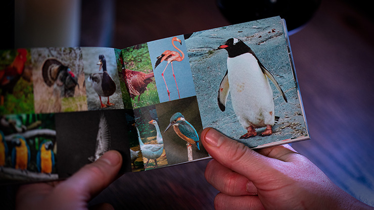 To the Point by Mark Lemon - Image 4