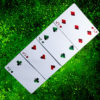 Sirius B V4 Playing Cards by Riffle Shuffle -Limited - Image 6
