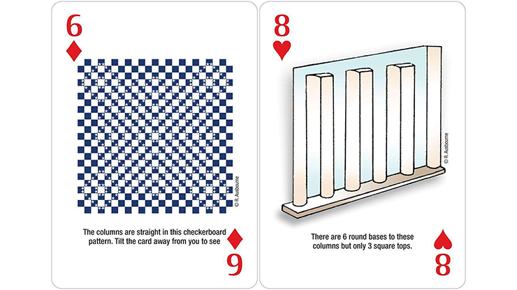 Illusions & Visual Oddities Playing Cards 2 Deck Set - Image 2