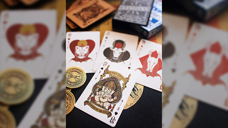 Visions, Present Playing Cards - Image 3