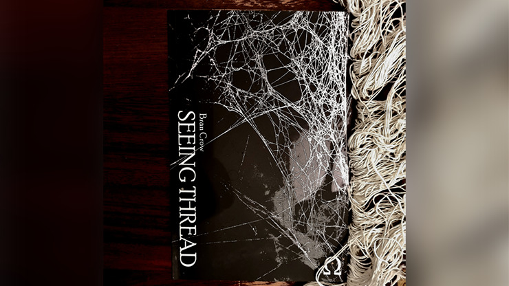 Seeing Thread by Bran Crow - Image 3