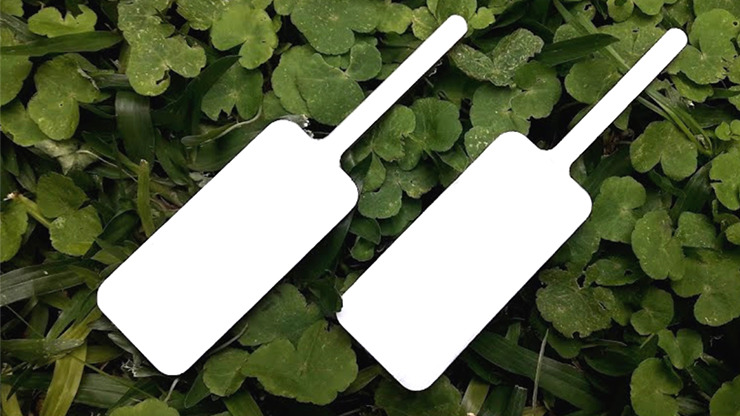 MAGIC BOARD PADDLE by Dar Magia - Image 2