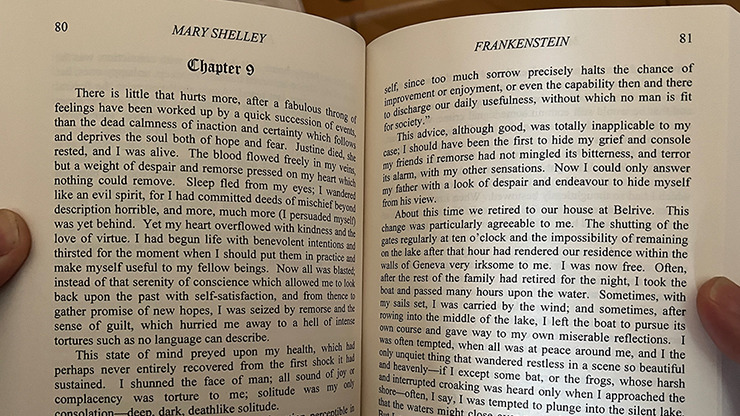 Facsimile, Frankenstein by Michael Daniels - Image 2