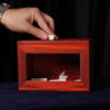Quantum, Gimmicks and Online Instructions by Pen & MS Magic - Image 5