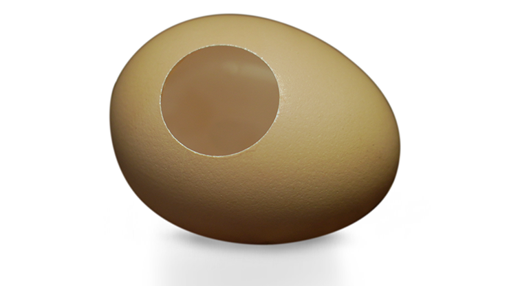 SILK TO EGG by TCC - Image 2