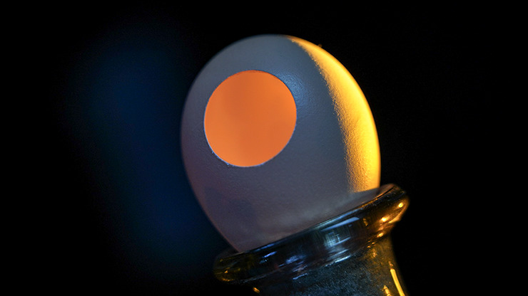 SILK TO EGG by TCC - Image 5