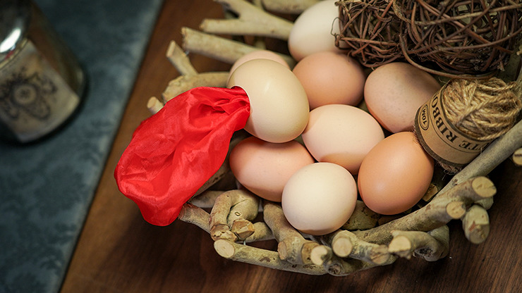 SILK TO EGG by TCC - Image 6