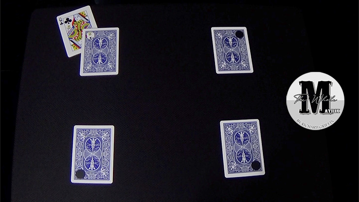 The Whole Matrix by Richard Griffin