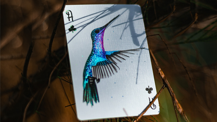 Marvelous Hummingbird Feathers, Red Playing Cards by Kellar - Image 3