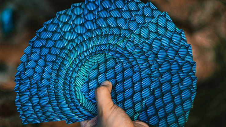 Marvelous Hummingbird Feathers, Blue Playing Cards by Kellar - Image 4