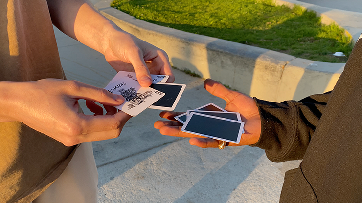 JOKER'S GAMBIT by Hide & Sergey Koller - Image 3