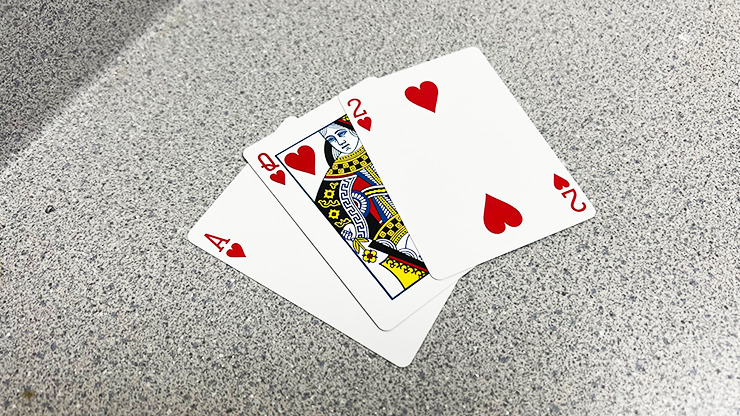 Bicycle 2 Faced Blue, Mirror Deck Same Both Sides Card Magic - Image 3