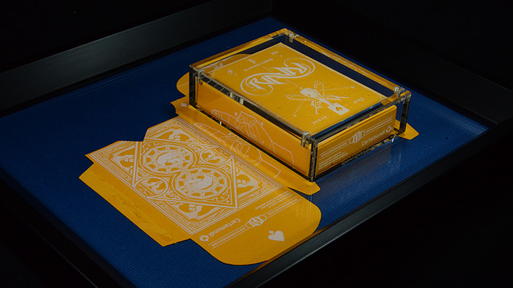 Carat X810R Right Sided Single Deck 8 inch x10 inch Display - Image 3