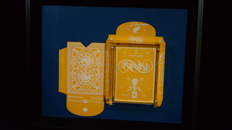 Carat X810R Right Sided Single Deck 8 inch x10 inch Display - Image 4